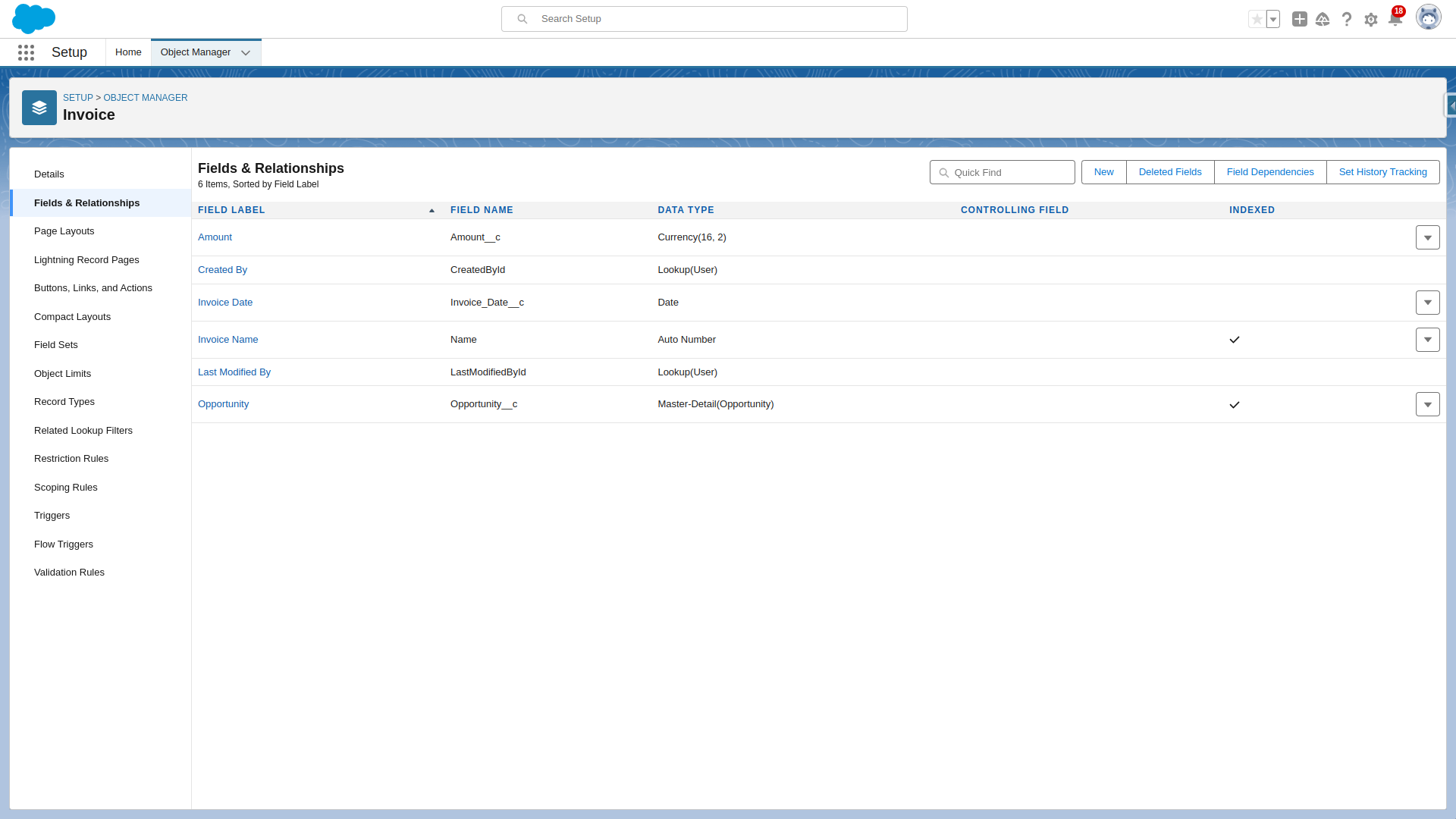 Invoice Object Setup